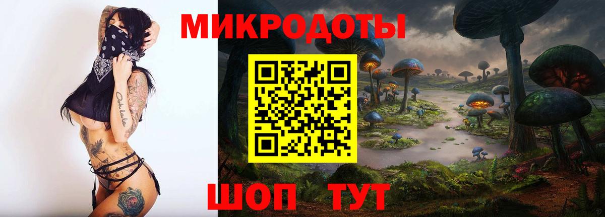 Галлюциногенные грибы Psilocybine cubensis Назрань